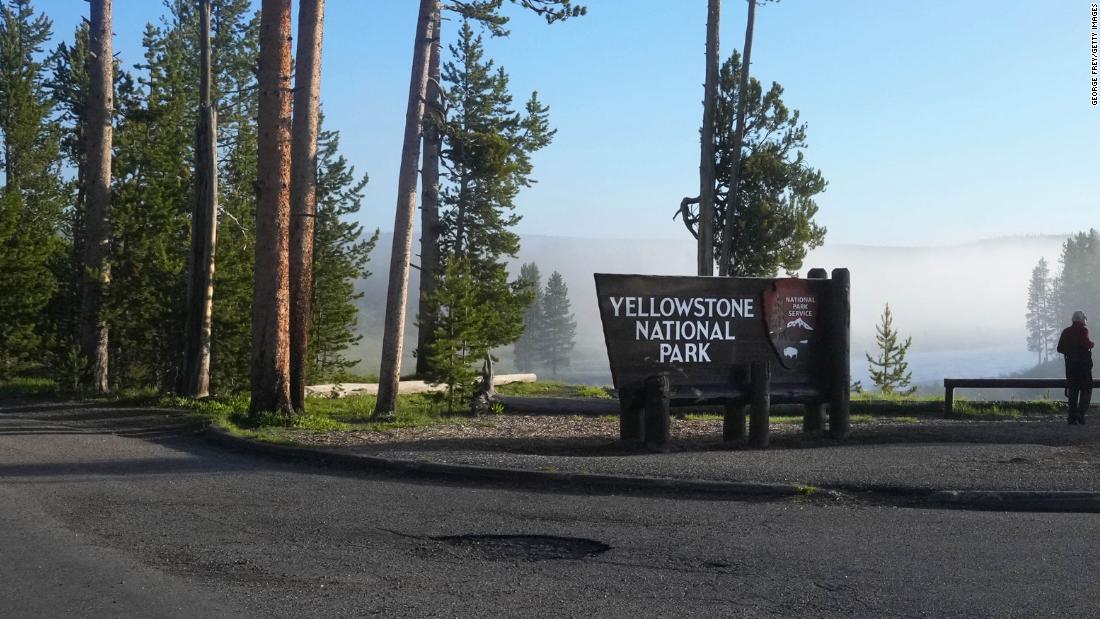 A bull bison gored a person close to Previous Devoted at Yellowstone Nationwide Park, officers say